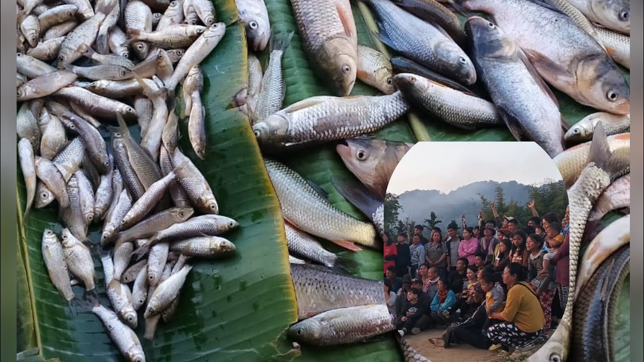 #Family#Picnic#Post#Wedding#Kinunger Village#Nagaland#India