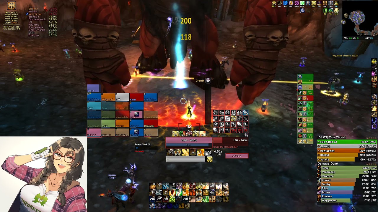 Gruul - Prot Paladin POV