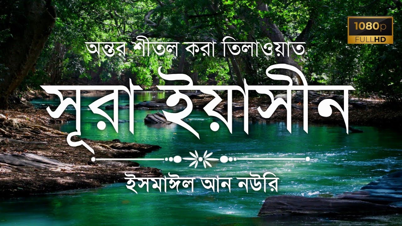 অন্তর শীতল করা কন্ঠে সূরা ইয়াসিন এর তিলাওয়াত┇Surah Yasin Recited by Ismail An Nouri┇Al Mani Media