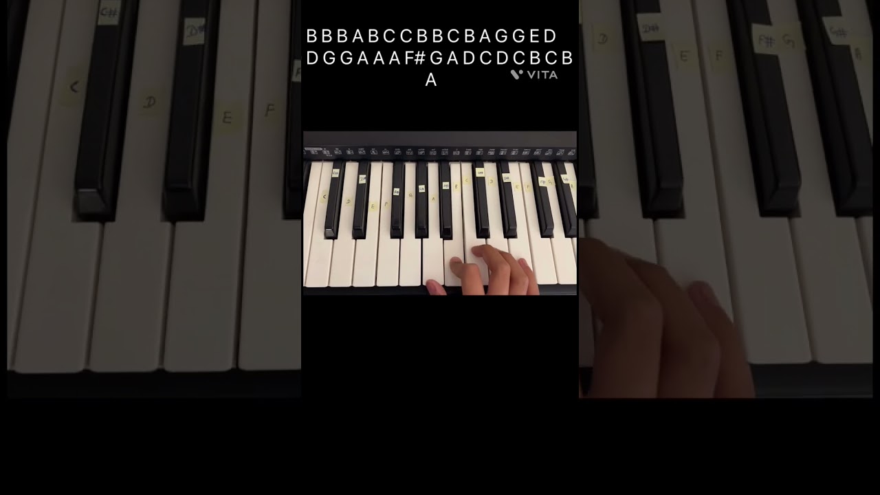Shaq-Qala Tutorial #shauq #qala  #tutorial #keyboard