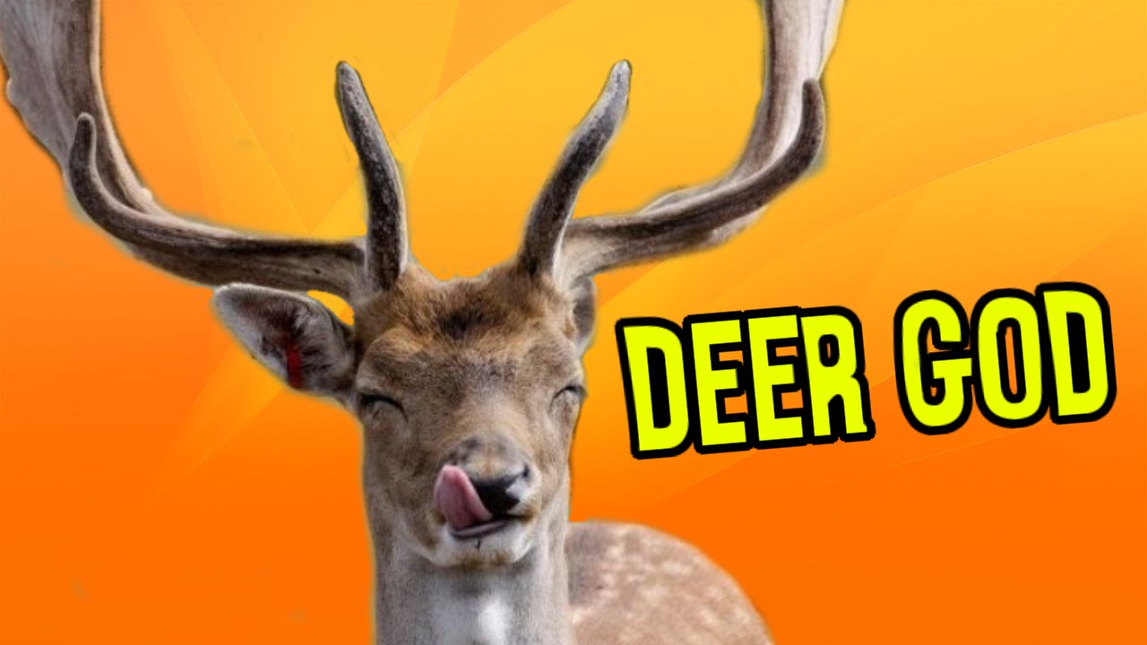 IL GIOCO DEL DIO CERVO??? WTF??
