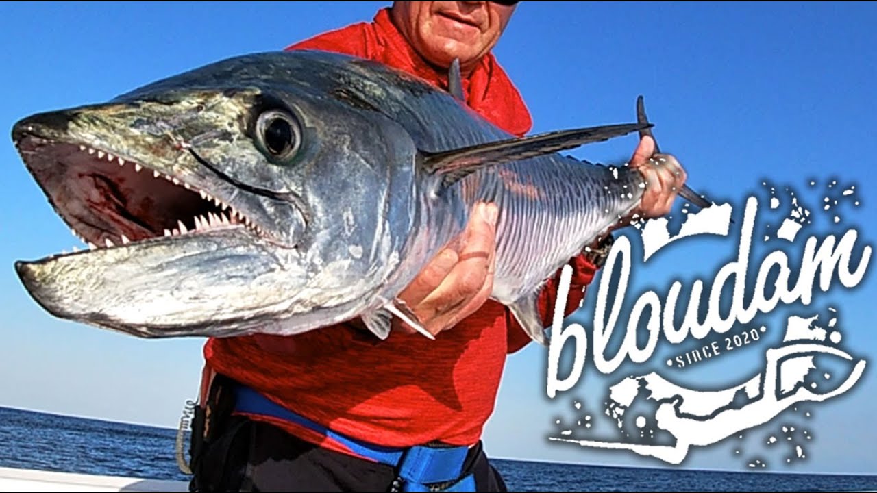 Fishing at Hellsgate, Mozambique is a Fisherman's PARADISE! Day 2 and 3