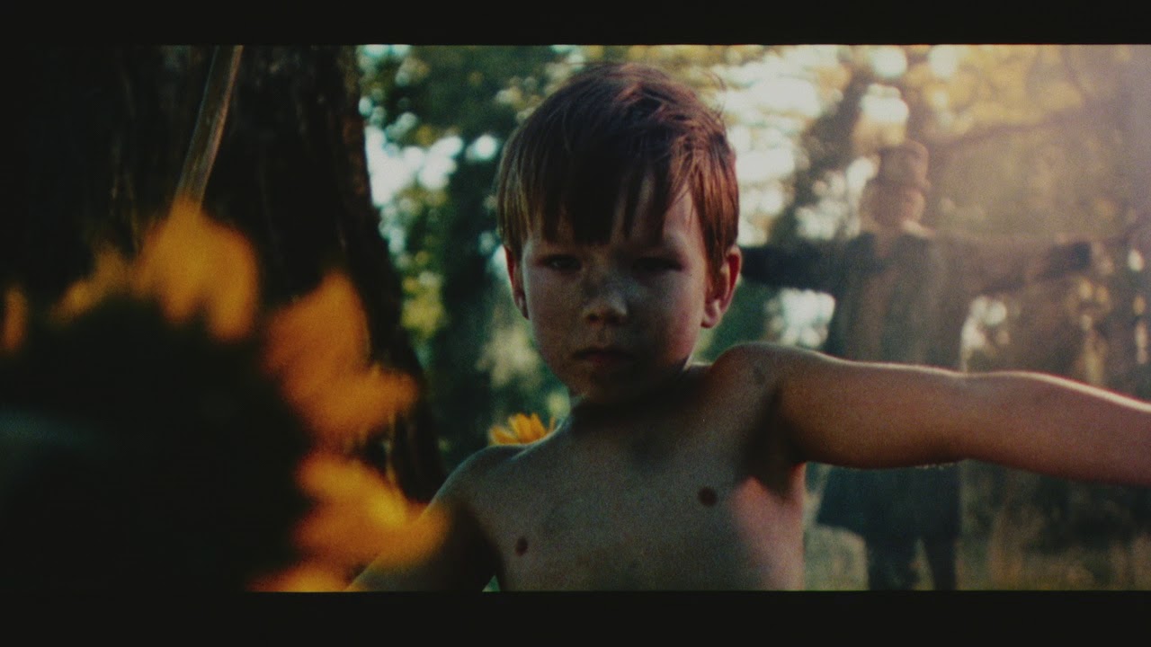 Rakkautta & Anarkiaa trailer 2005: Auringonkukat
