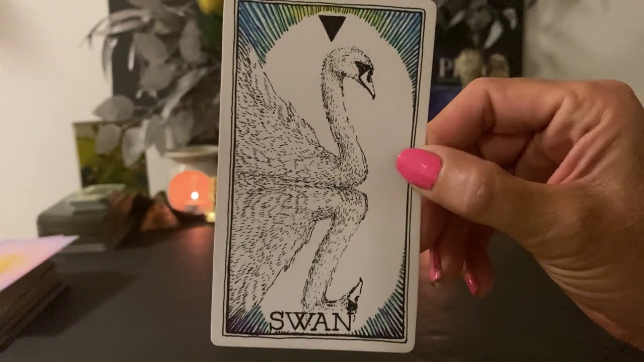 Aquarius weekly love reading 8/1-8/7 2020: True Love