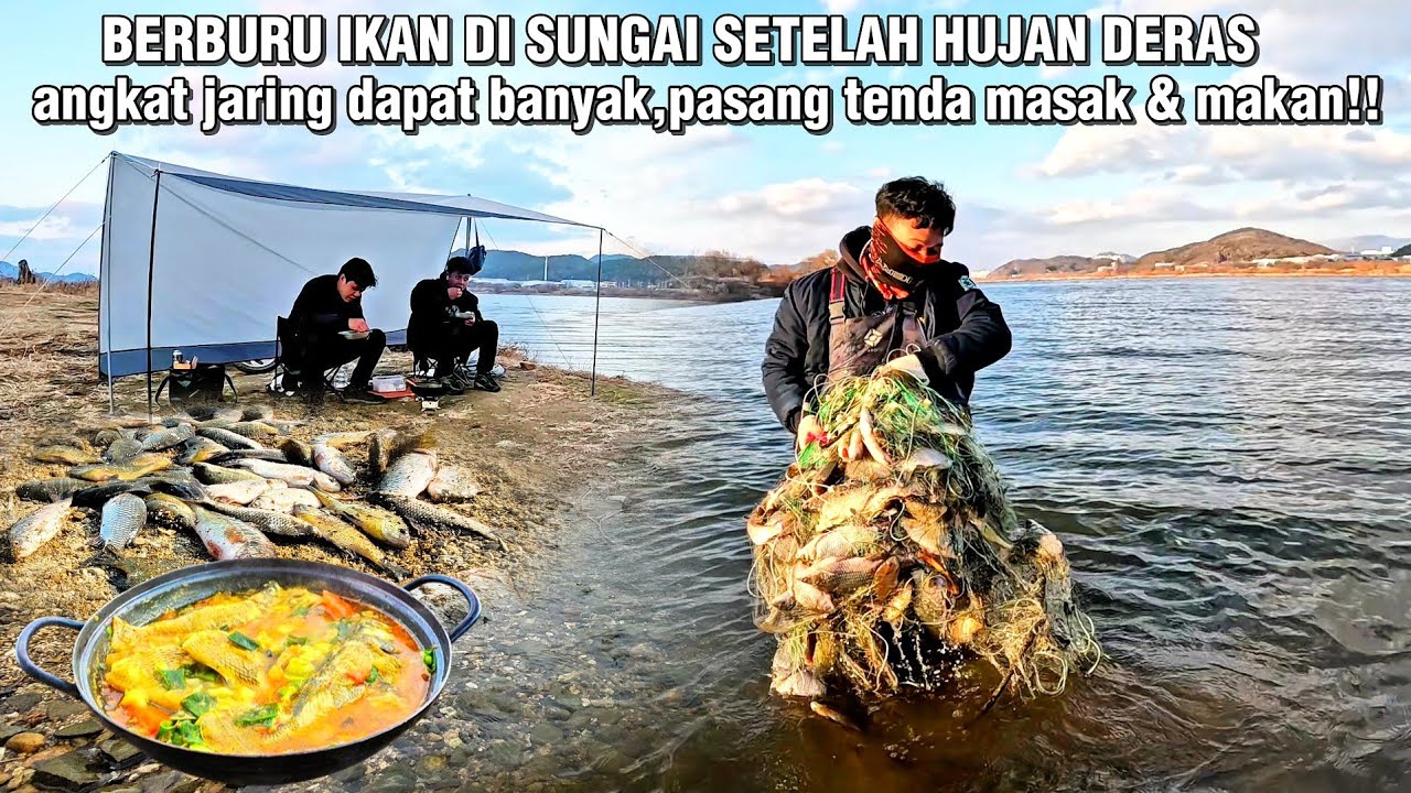 BERBURU IKAN SETELAH HUJAN DERAS!!PASANG TENDA,ANGKAT JARING DAPAT BANYAK MASAK MAKAN DI TEPI SUNGAI