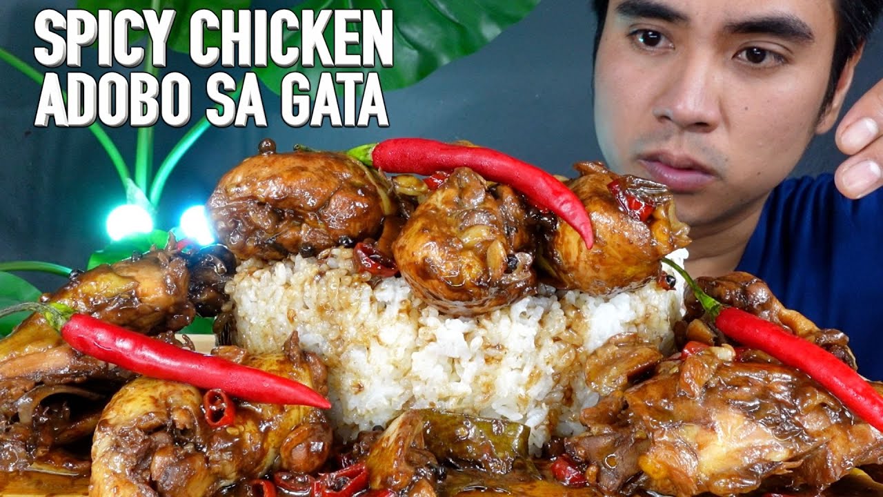 SPICY CHICKEN ADOBO SA GATA