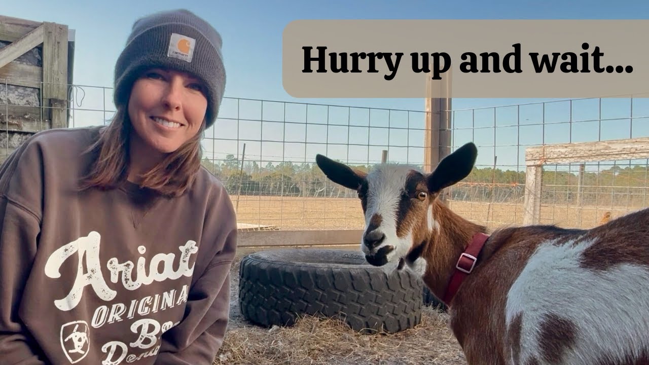 We're Still Waiting... But the Farm Didn't Slow Down