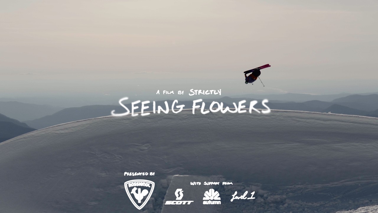 SEEING FLOWERS