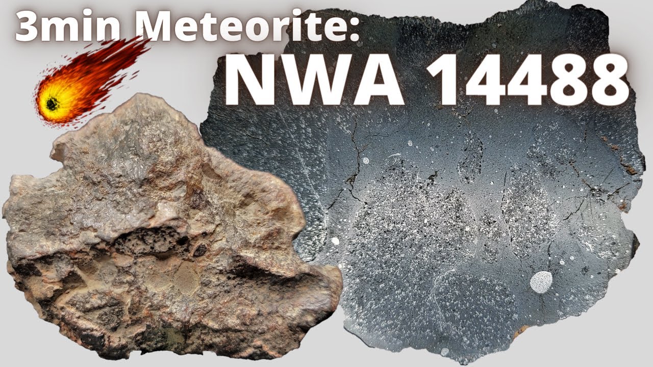 3min Meteorite: NWA 14488 ☄️ H5-melt breccia - chondrite melt meteorite
