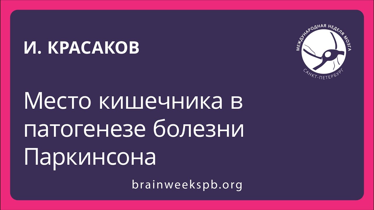 Место кишечника в патогенезе болезни Паркинсона (Игорь Красаков)