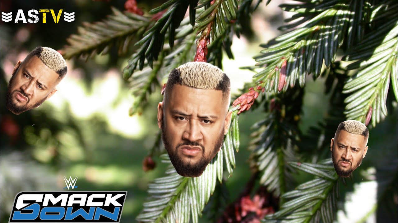 КТО СТАЛ ПОСЛЕДНИМ СОПЕРНИКОМ СИНЫ?! Smackdown 05/12/2025