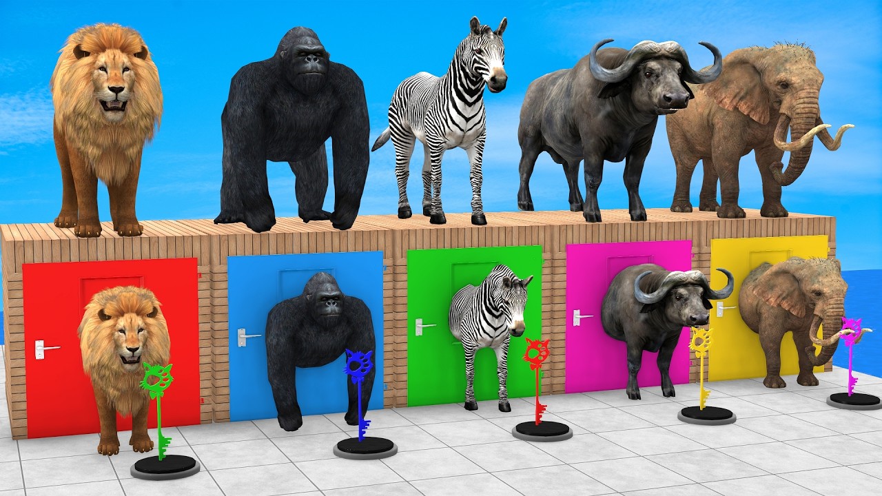 Long Slide Game With Cow Elephant Gorilla Hippopotamus Tiger 3d Animal Game Funny 3d Animals