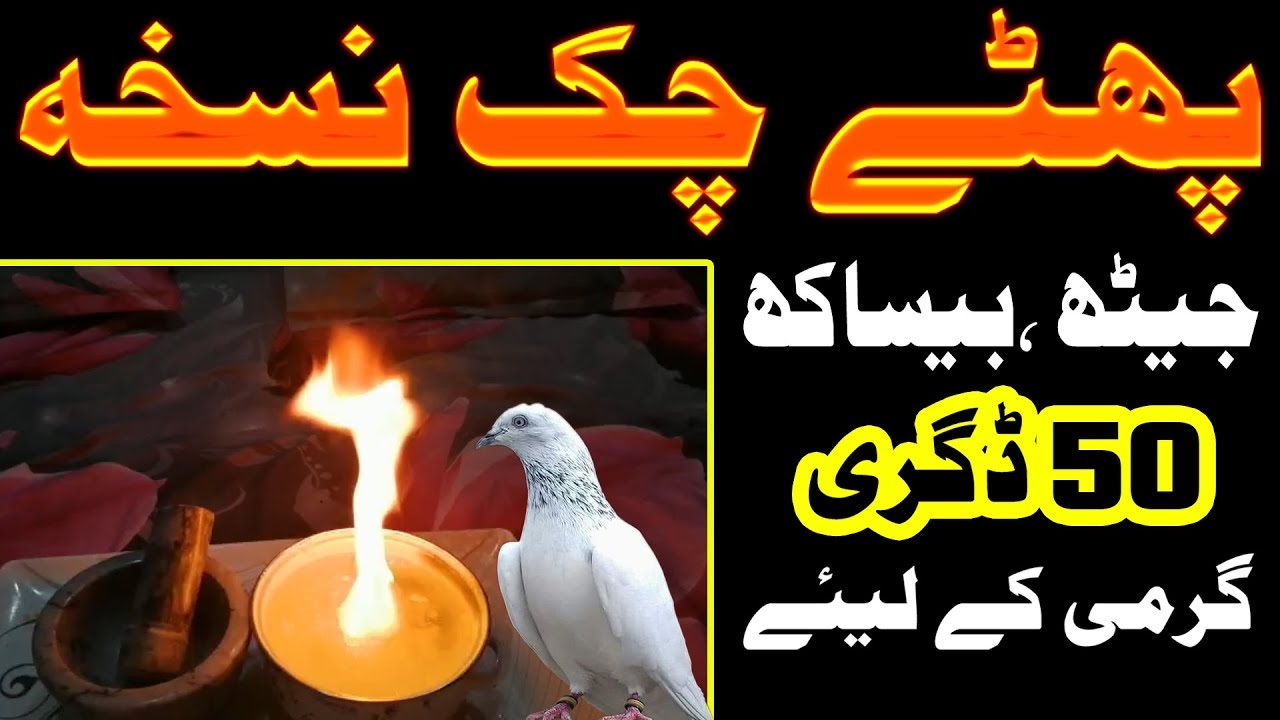 Garam mousam mein parwaz ka thanda nuskha | Jeth besakh mein parwaz ka thanda nuskha