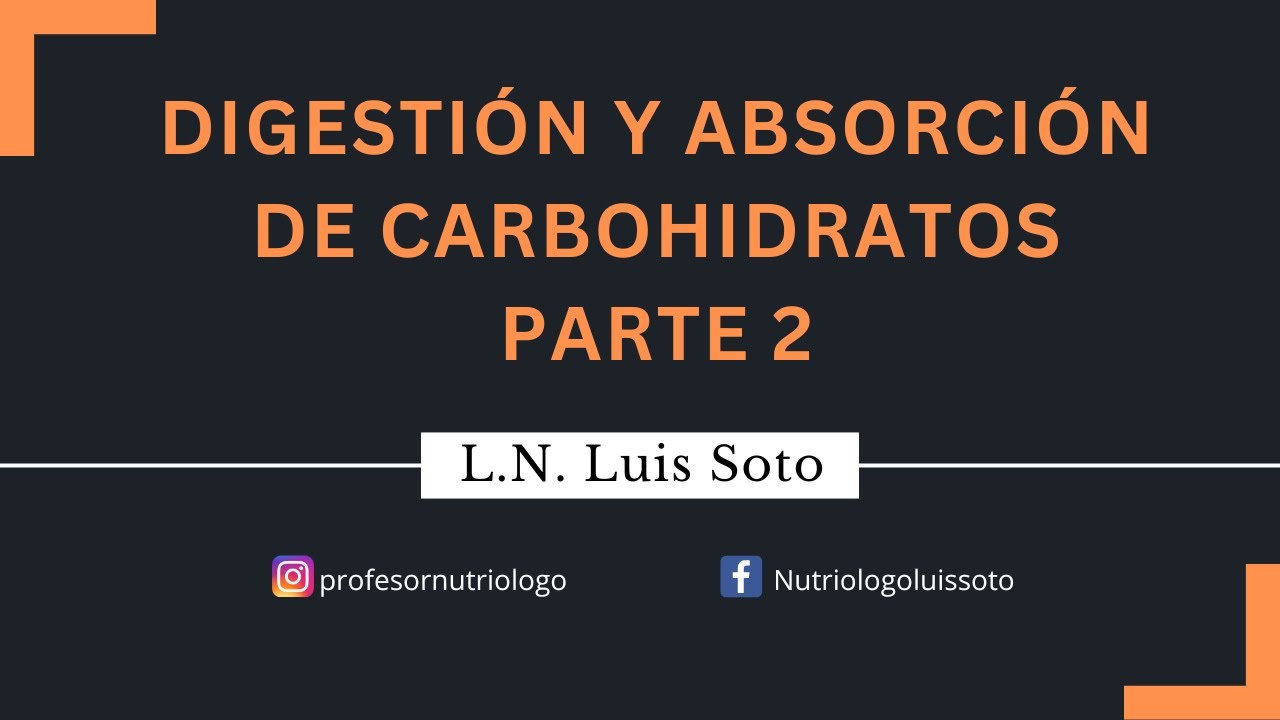 Digestión y absorción de carbohidratos. Parte 2