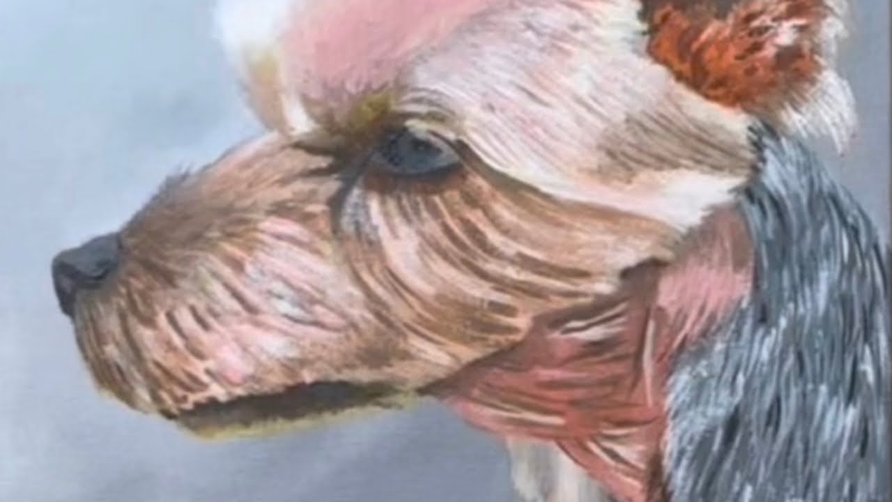 Painting a Dog in Acrylic Paint -Yorkshire Terrier Timelapse 