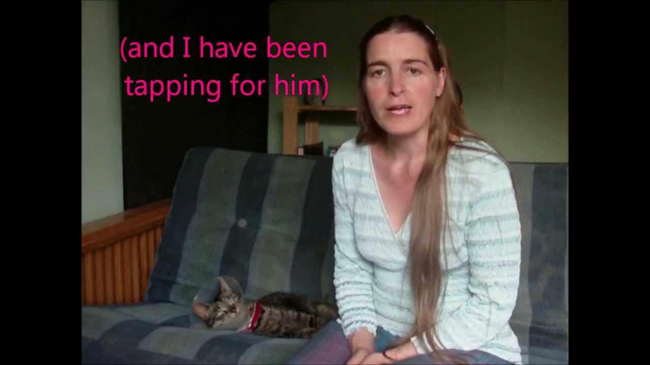 EFT tips for pets having to wear an e-collar / e-cone after surgery