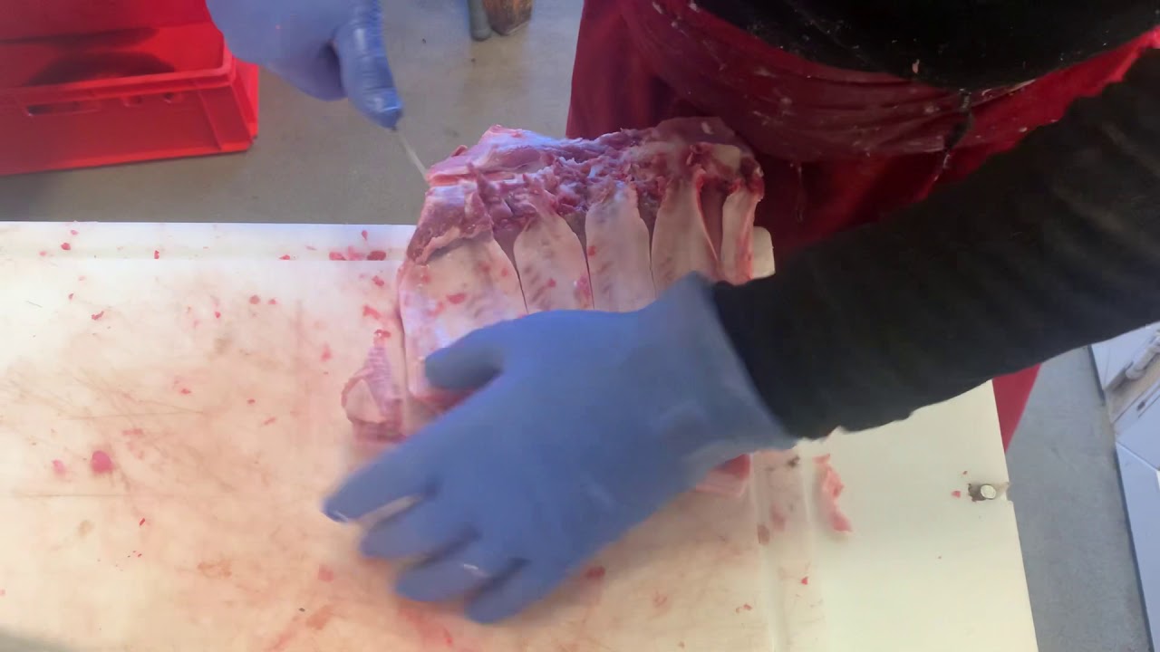 Bacon