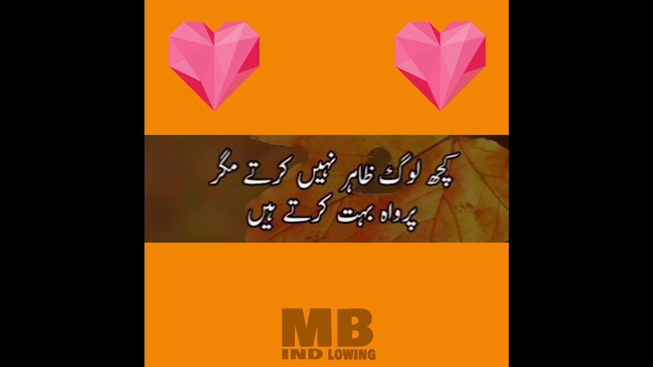 Best Heat Touching Lines | Whatsapp Status