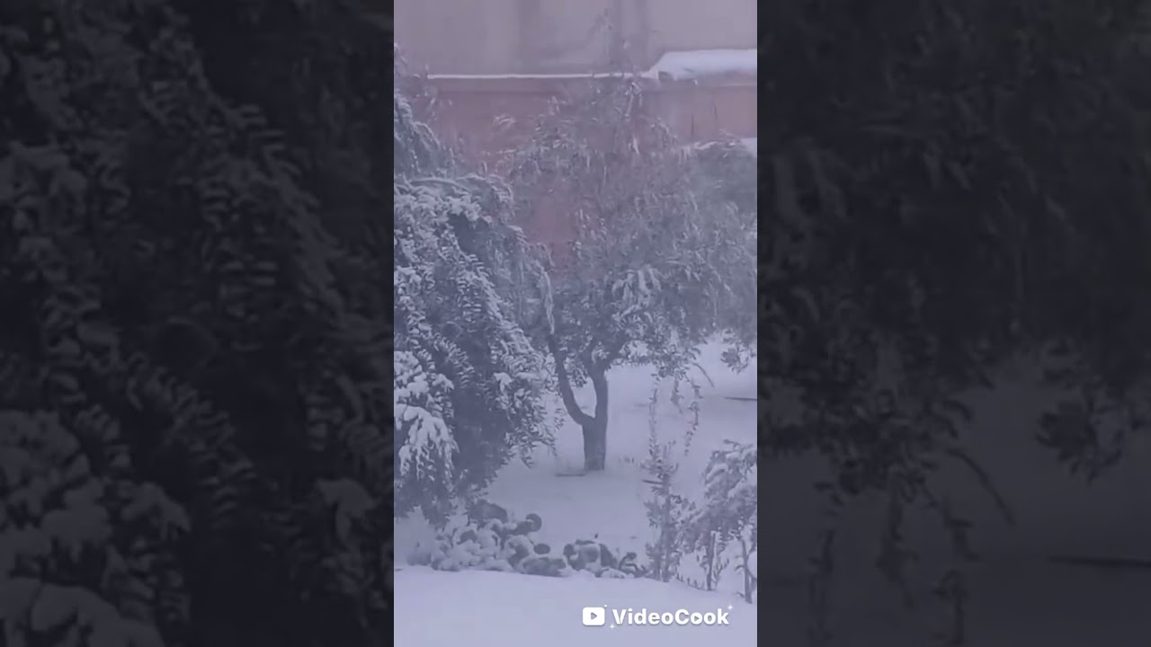ثلوج الجبة 