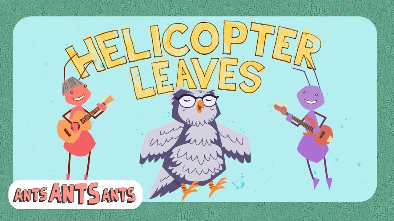 Helicopter Leaves (Official Music Video)  - Ants Ants Ants