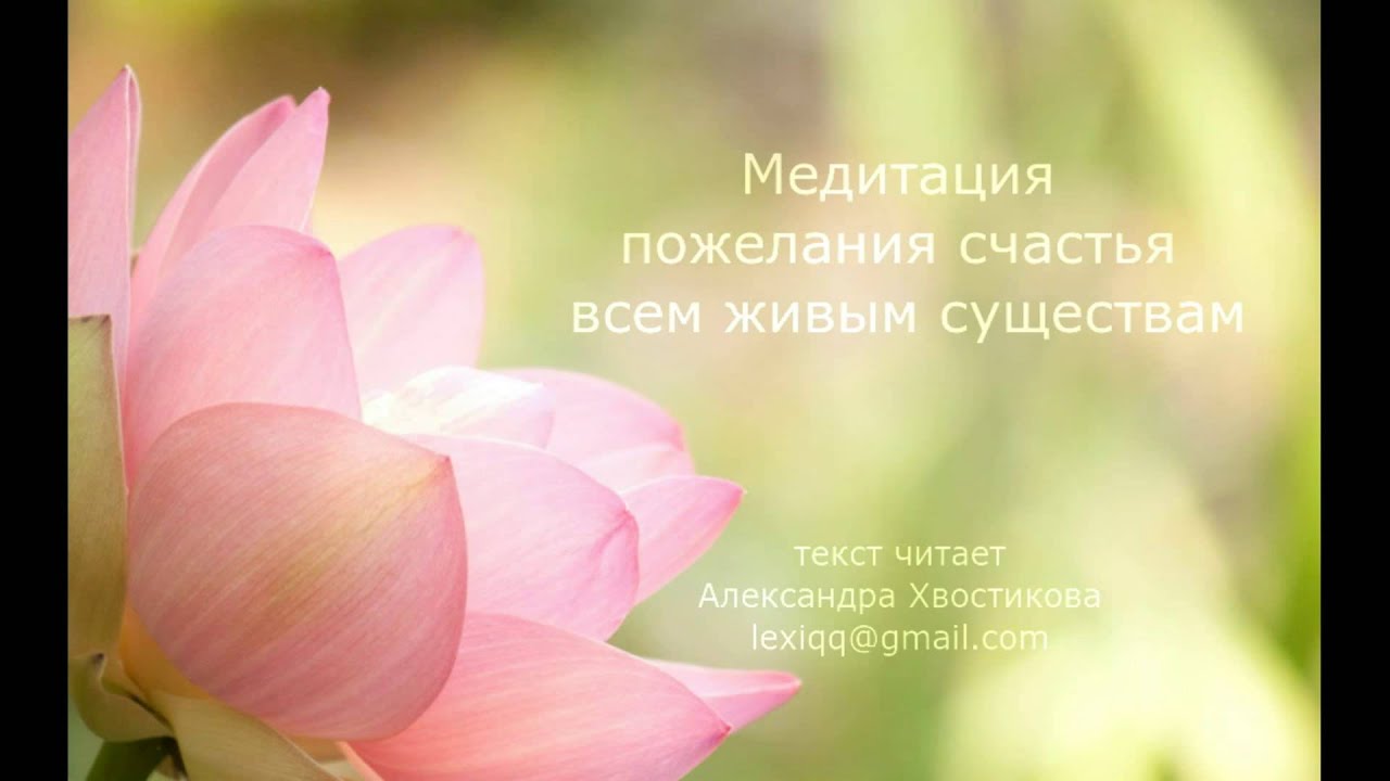 Медитация пожелания счастья