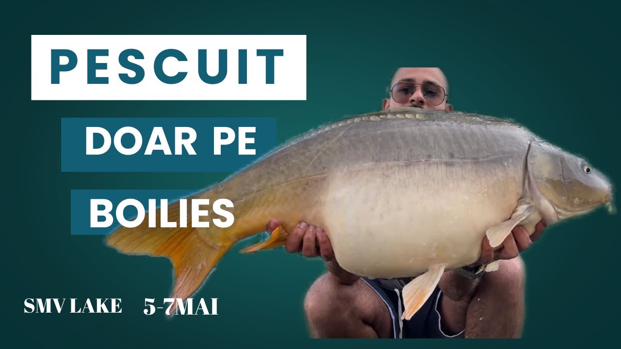 PESCUIT EXCLUSIV PE BOILIES