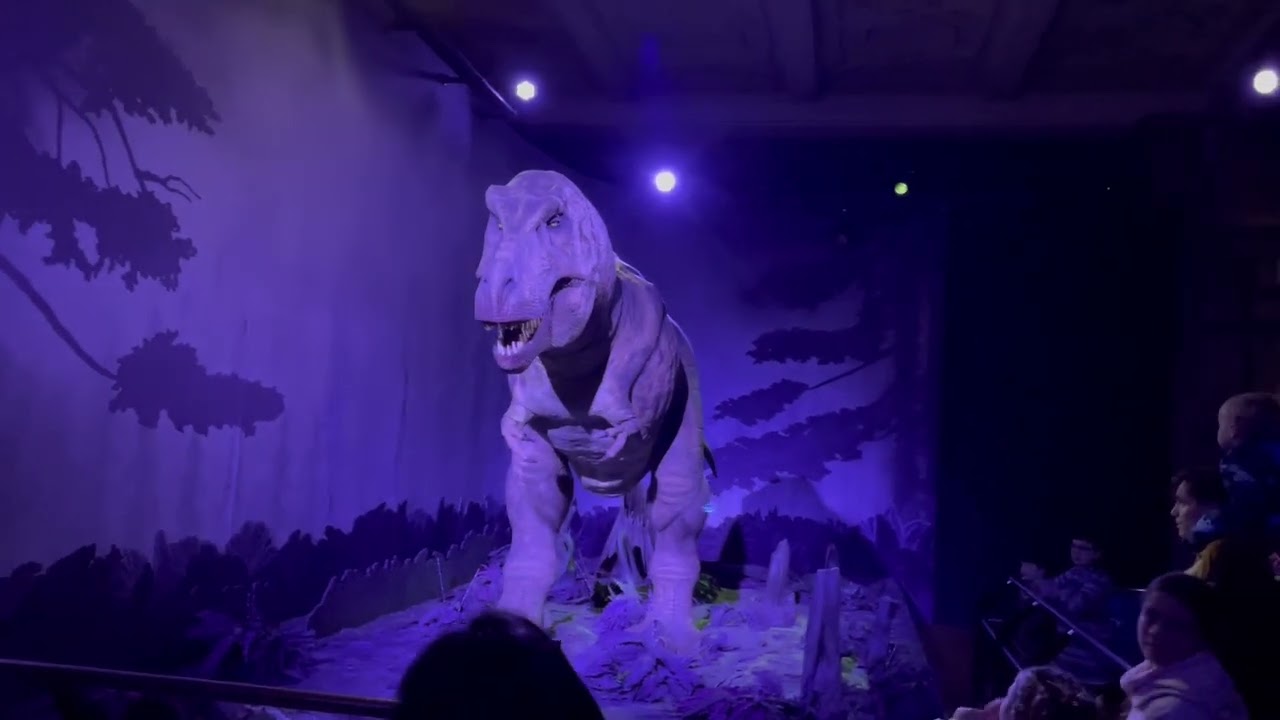 Dino at the museum 