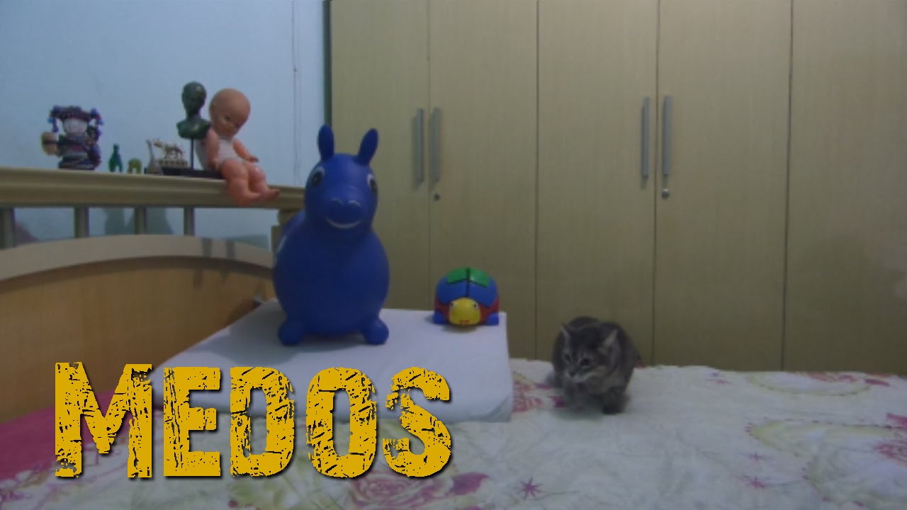 Medos e Fobias