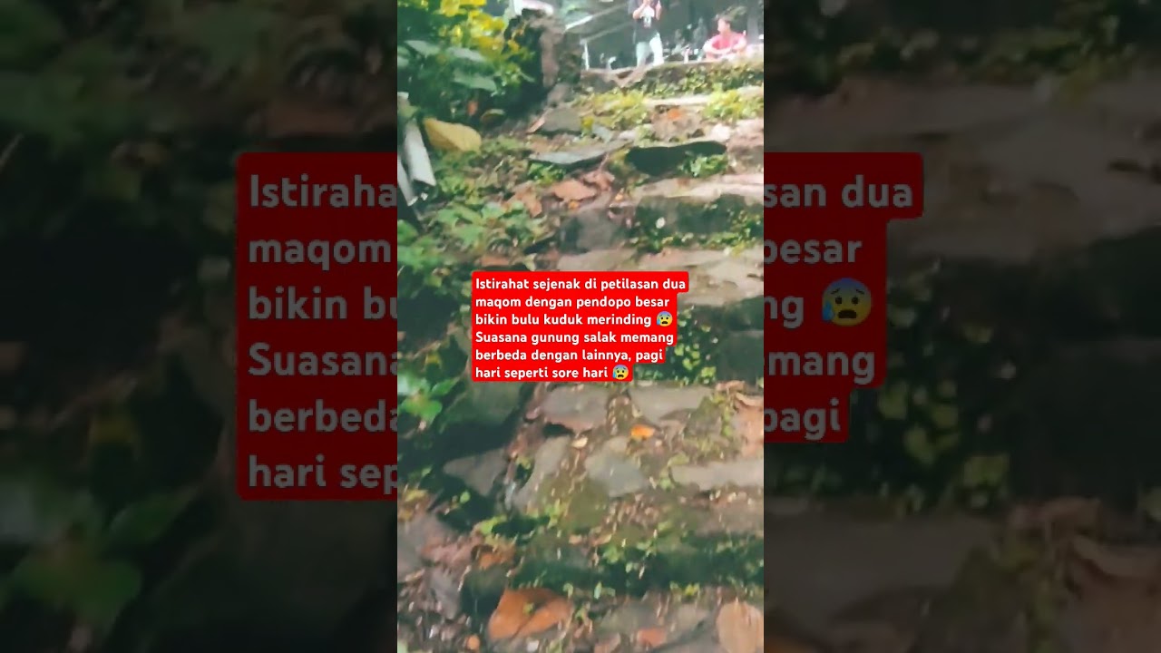 Petilasan gunung salak 😰 #pendakianmalam #gunungsalak #petilasan #seram #hantu #piano #pianomusic