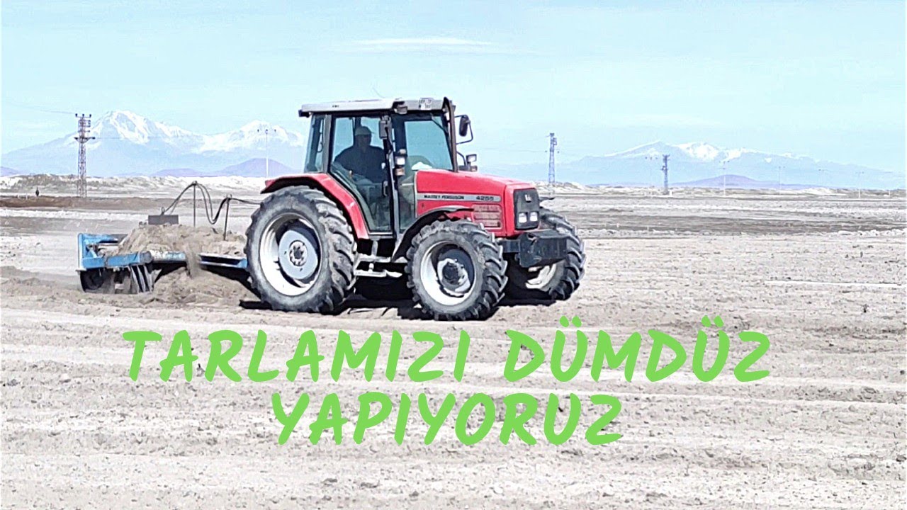 Tarlayı pist yapıyoruz. Mf 4255 ile tesviye işlemi.