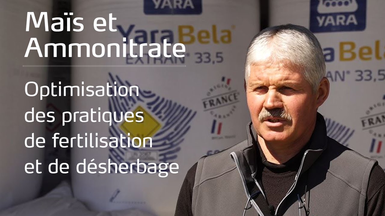 Comment optimiser les pratiques de fertilisation et de désherbage sur maïs ?