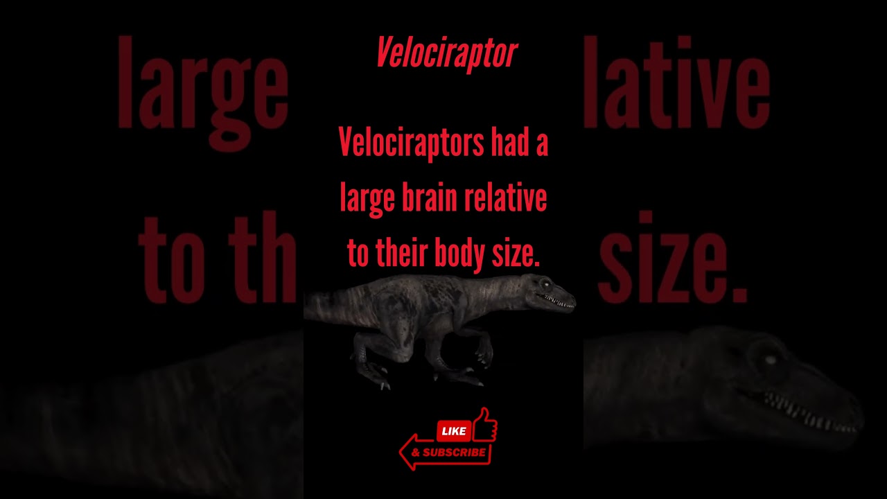 #dinosaur #raptor #jurassicworldevolution2 #redraptor #jurassicworld #raptorhunter #jurassicpark