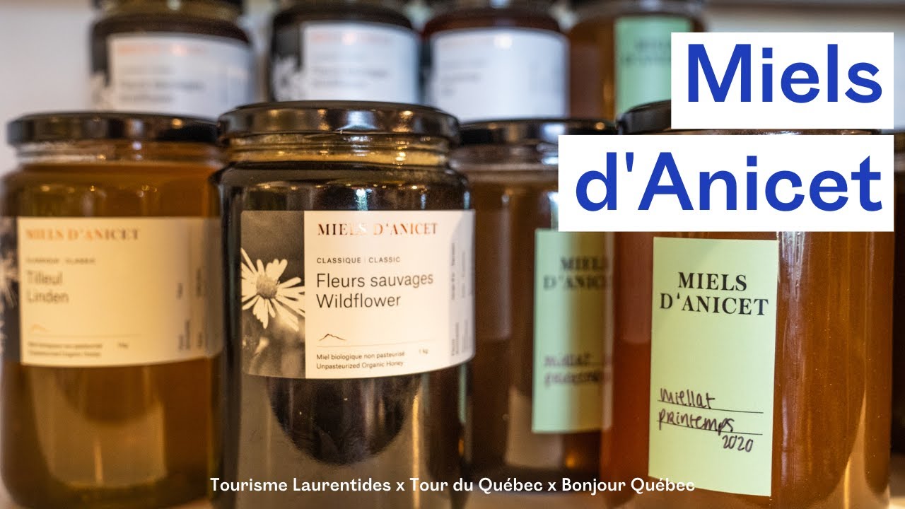 Miels d'Anicet : les gardiennes de Ferme-Neuve - Laurentides