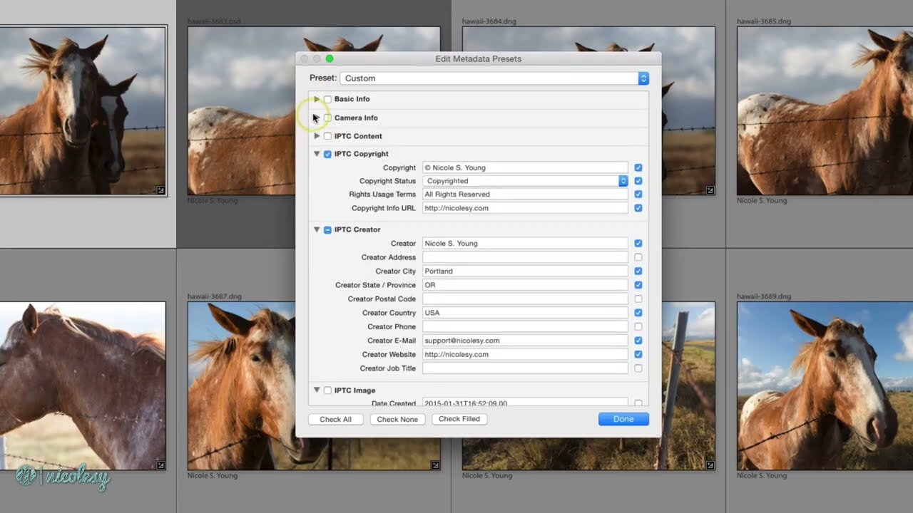 Creating metadata presets in Lightroom Classic
