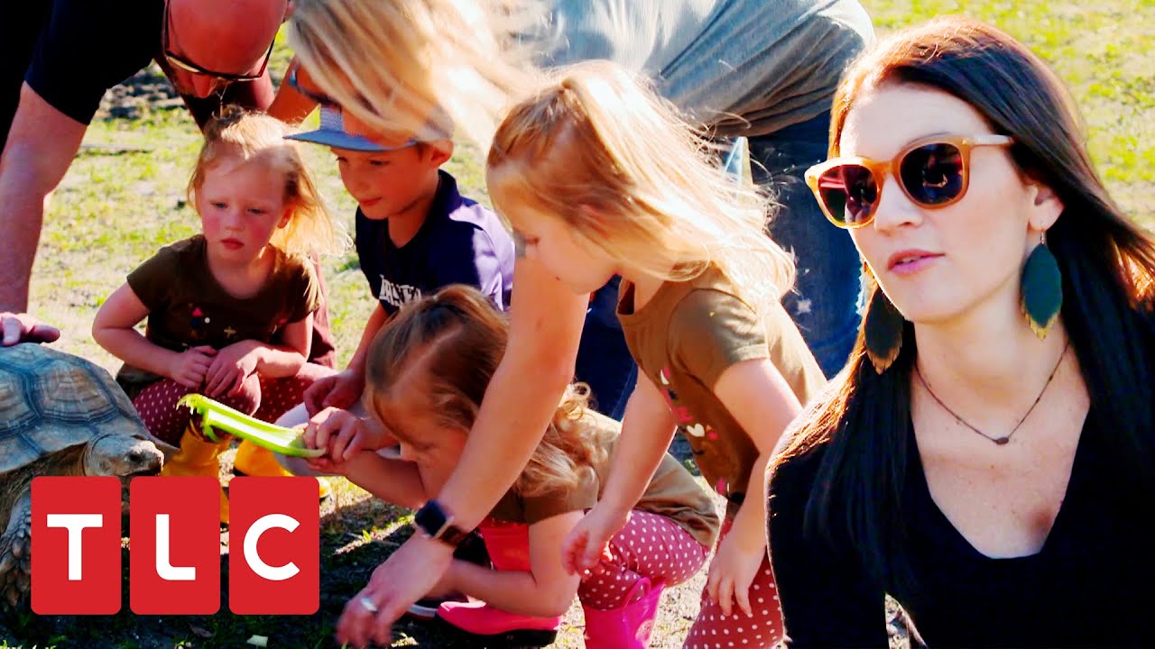 As meninas vão passear no zoológico | Os Busbys +5 | TLC Brasil