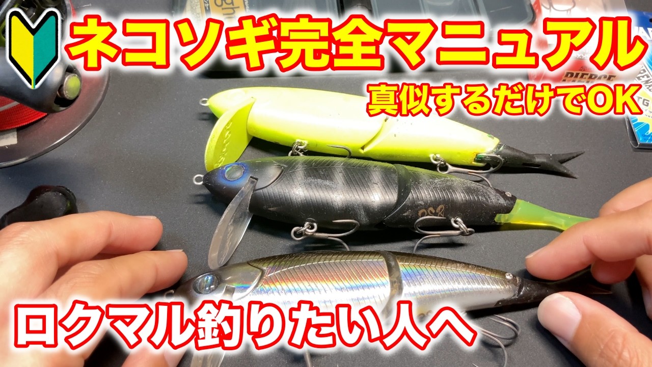 冬のデカバスを釣りたい人へ。ネコソギDSRの使い方マニュアル【琵琶湖バス釣り】