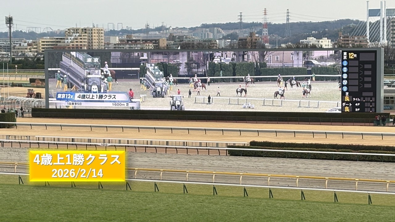 2026年2月14日 | 東京12R 4歳上1勝クラス | エルマーゴ | レッドレナート | 現地レース映像 | 東京競馬場 | スマシ観戦