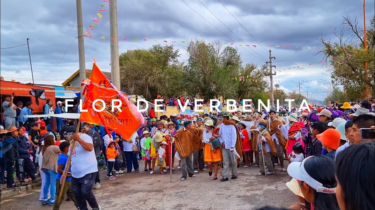 COMPARSA FLOR DE VERBENITA CARNAVAL 2024✔️ | ABRA PAMPA (JUJUY)