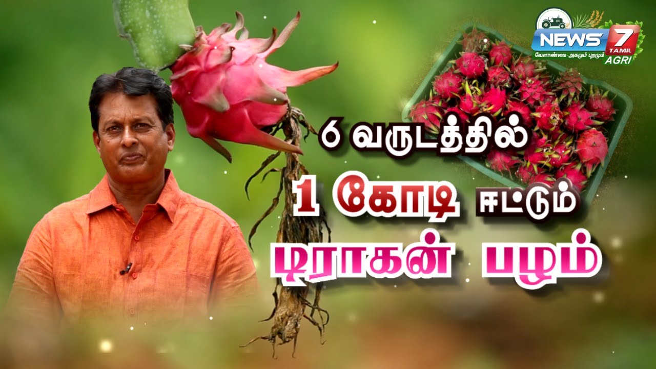 திருத்தணியில் Dragon Fruit - கோடிகளில் லாபம் | Money yielding Crops | Cash Crop