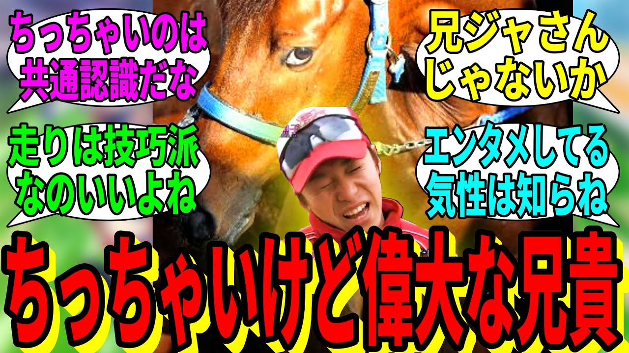 【競馬の反応集】「ちっちゃいお馬さんだね 牝馬かな？」に対する視聴者の反応集