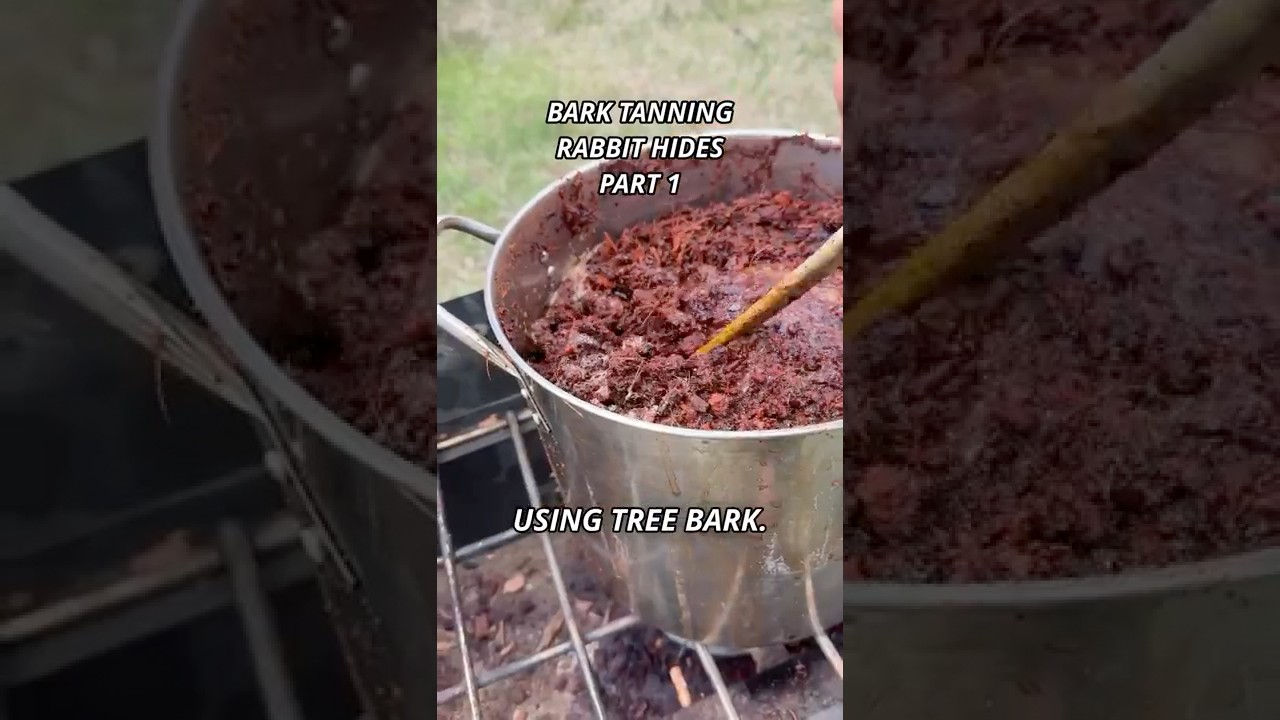 How to bark tan rabbit hides, part 1 #bushcraft #outdoors #survival #hunting #camping