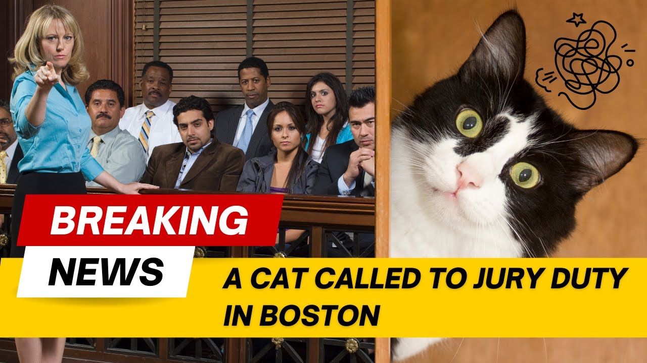 14 Cat News Headlines That Are Too Funny To Be True