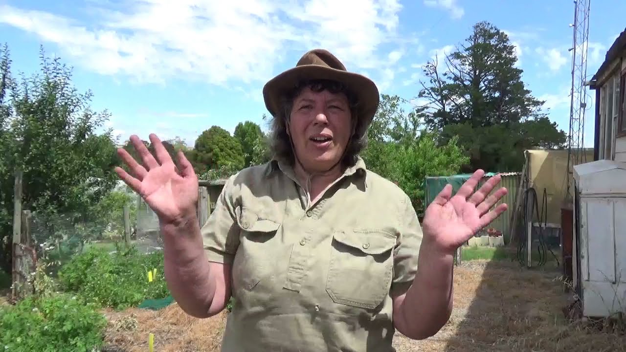 TPS potato harvest MASSIVE FAIL