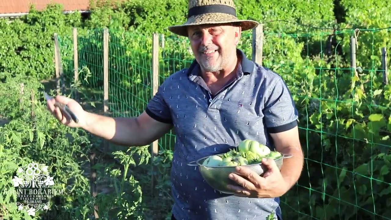 ☀️Nyár a Boráriumban!