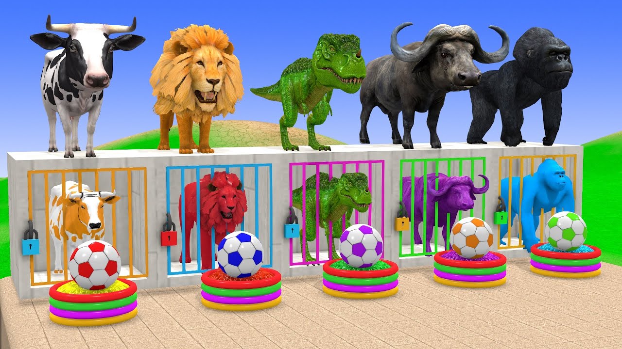 Long Slide Game With Cow Elephant Gorilla Hippopotamus Tiger 3d Animal Game Funny 3d Animals