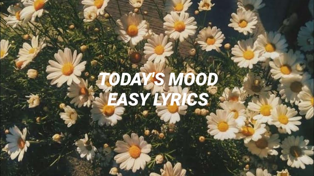 Today's Mood • Cheeze • EASY LYRICS