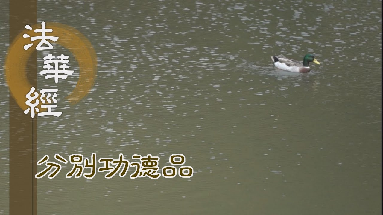 【靜思妙蓮華】法華經分別功德品 - 信解慧明 開般若門 - 20240108 第1584集