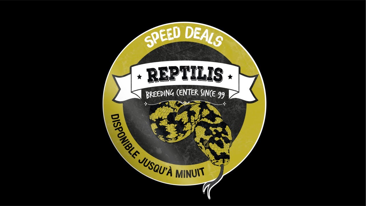 Speed deals 7 !