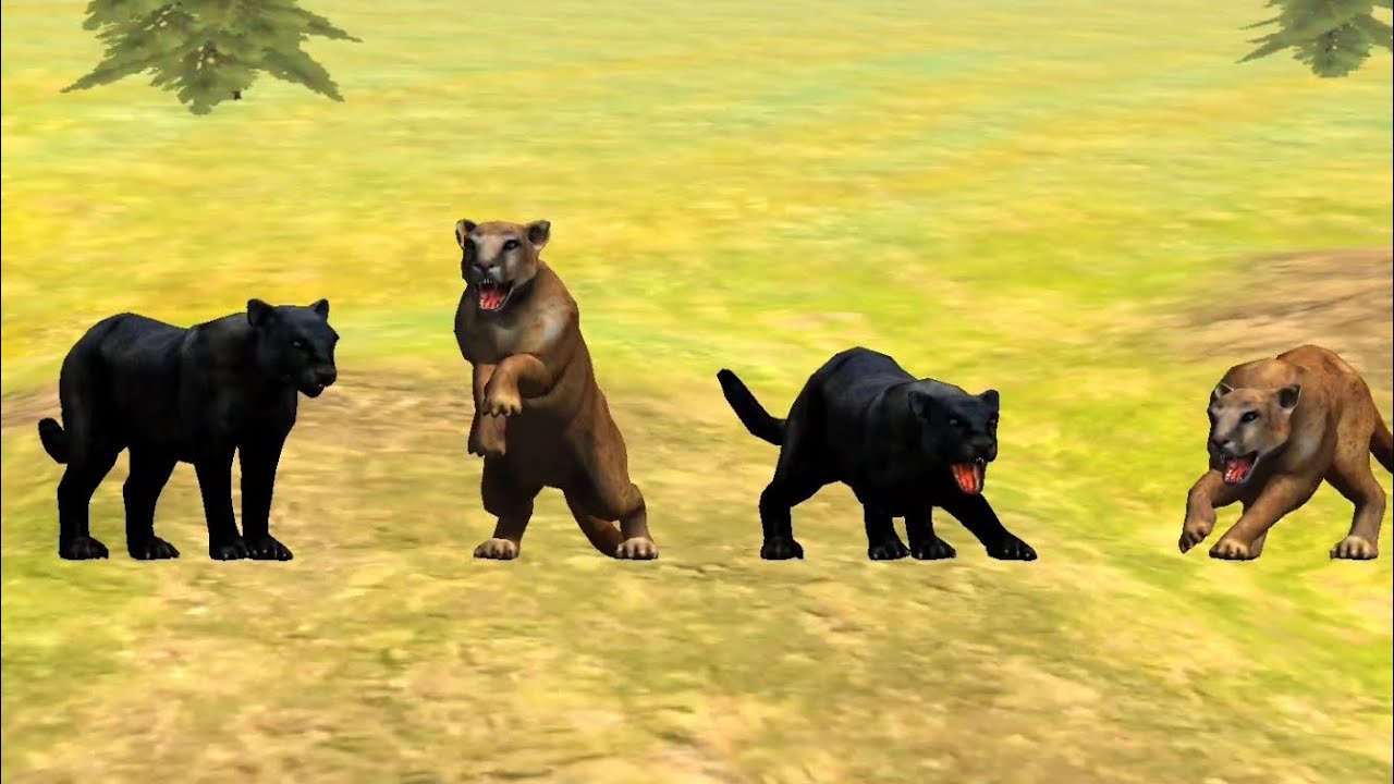 Puma Survival by Wild foot game
