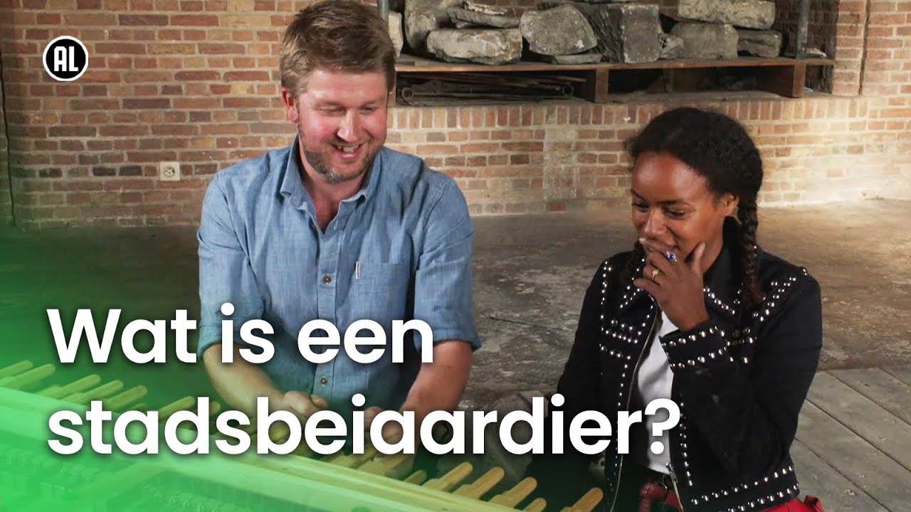 Wat is een stadsbeiaardier?